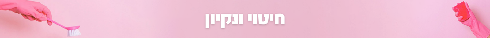 חיטוי וניקיון